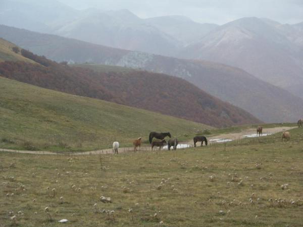 In Quota Senza Nebbia