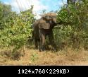 Sudafrica