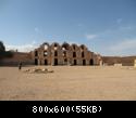 Img 2555