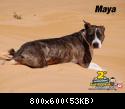 I Mascalzoni: Maya