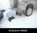 Gasolio Freddo