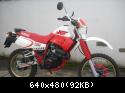 Restauro Xt 600 2kf Del ''90