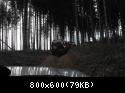 Dscf4235